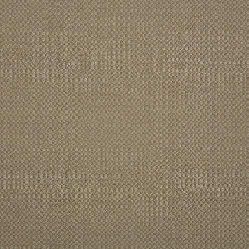 TAUPE-ACTION (DISCONTINUED)