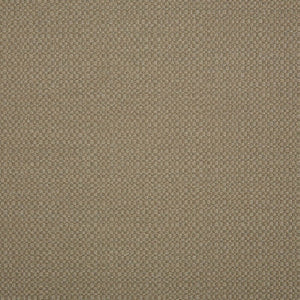 TAUPE-ACTION (DISCONTINUED)
