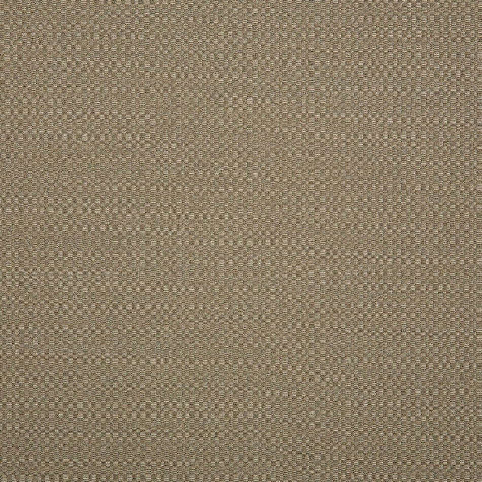TAUPE-ACTION (DISCONTINUED)