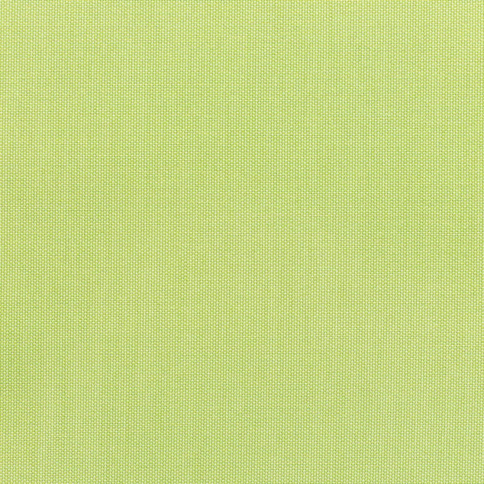 CANVAS - PARROT